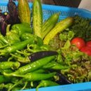 만송농장 이미지