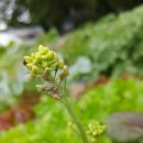 지양농장 이미지