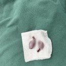 로지동물의료센터 이미지