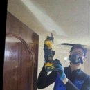 방배로25길 20 이미지