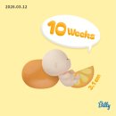임신 10w ~ 11w 기록 :: 입덧과 체덧 ing • 태아보험 가입 완료 • 니프티검사 • 각도법 ෆ