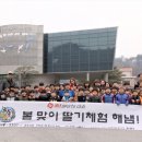 차돌합기도 이미지