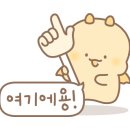 홍천생고기
