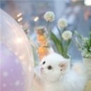 옷리폼전문