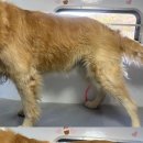 멍즈니랜드 이미지