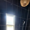 안면도바다풍경 이미지