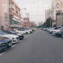 송도갈매기 이미지