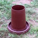 복돌이네 이미지