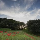 옥룡사지 이미지