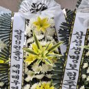 고인 이미지