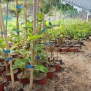 방우농장 이미지