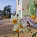 선마을어린이집 이미지