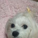 비비커뮤니케이션