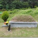 강원장의사 이미지