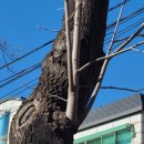 보배 어린이공원 이미지