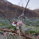 대류농장 이미지