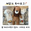 괌 태교여행 -7 / 쇼핑 DAY~ 젤리캣, 메이시스 폴로, 돈키호테 (임신 20주, 스택스버거, 스페인광장)