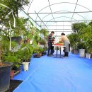 죽청농장 이미지