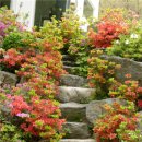 가평 시골집 이미지