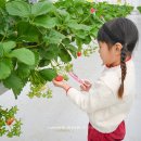 백필농장 이미지