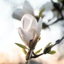 ON 숲 이미지