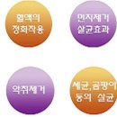 LED PC방 Daum카페