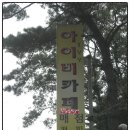 카페 아이비(Cafe Ivy) 이미지