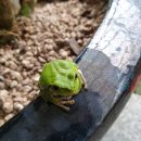 금산분재펜션 이미지