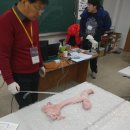 삼성 소가축 인공수정소 | 바라던...면허..차츰차츰 경력을 쌓아..가축인공수정소 개소 해야겠어요. 김천스피드냉동 사장...
