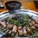 모메존 이미지