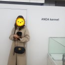 안다켄넬반려견을품에안다