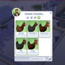 사즈 하면서 잼있는 닭 이름들 있으셨나요? 이미지