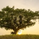 포크기타(핑거스타일) 이미지