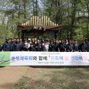 건강해봄 이미지