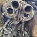 애니카랜드 대저점 이미지