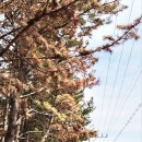 용산2리경로당 이미지