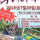 영동금강모치마을 이미지