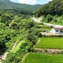 대가야부동산중개사무소 이미지