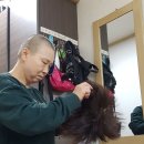 성예 이미지