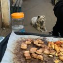 한양제1할머니경로당 | 을지로4가 웨이팅 없는 야장 찐맛집｜한양식당 노포 감성 삼겹살 후기