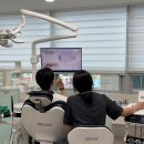 제일말전문병원 | 병원전문마케팅만 믿다가 발등 찍히는 이유_ 닥터마인즈