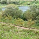 반구정습지 이미지