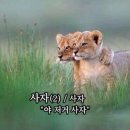 토니모리잠실지하