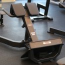 라인업 체형교정 이미지