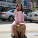 핑크공주