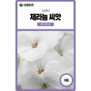 마켓핀토