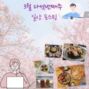 3월 다섯번째 주 일상 포스팅