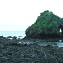 비양도 봄날 민박 이미지