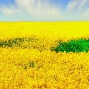 오늘도 빛나 이미지