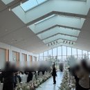 호텔카라 | 메이필드호텔 카라홀 웨딩 하객 분위기 식사 후기